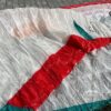 ADVANCE Omega X-Alps 95~110kg / 2020年/ 55時間 - 画像 (3)