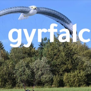 新品Gryfalcon